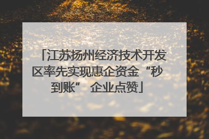 江苏扬州经济技术开发区率先实现惠企资金“秒到账” 企业点赞