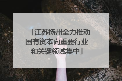 江苏扬州全力推动国有资本向重要行业和关键领域集中