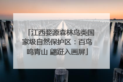 江西婺源森林鸟类国家级自然保护区：百鸟鸣青山 翩跹入画屏