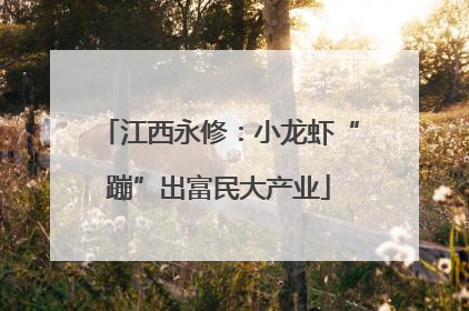 江西永修：小龙虾“蹦”出富民大产业