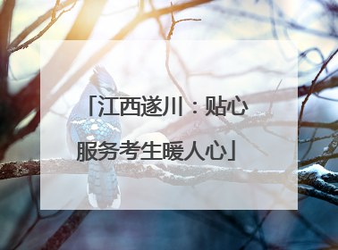 江西遂川：贴心服务考生暖人心