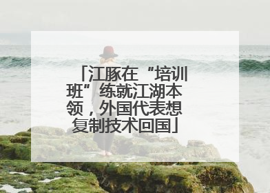 江豚在“培训班”练就江湖本领，外国代表想复制技术回国