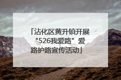 沾化区黄升镇开展“526我爱路”爱路护路宣传活动