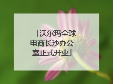 沃尔玛全球电商长沙办公室正式开业