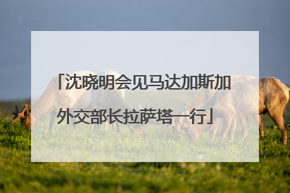 沈晓明会见马达加斯加外交部长拉萨塔一行