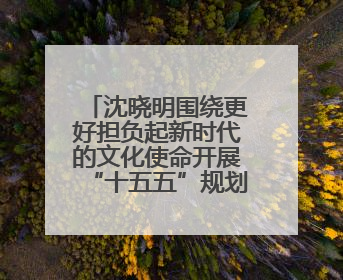 沈晓明围绕更好担负起新时代的文化使命开展“十五五”规划专题调研