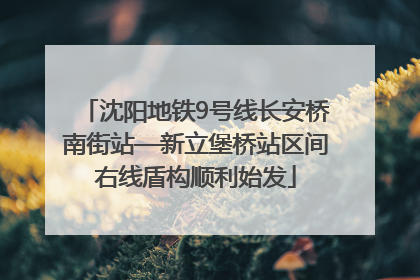 沈阳地铁9号线长安桥南街站—新立堡桥站区间右线盾构顺利始发