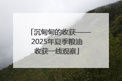 沉甸甸的收获——2025年夏季粮油收获一线观察