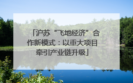 沪苏“飞地经济”合作新模式：以重大项目牵引产业链升级