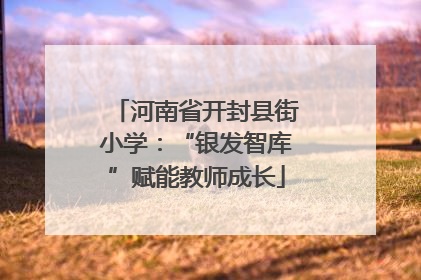 河南省开封县街小学：“银发智库”赋能教师成长