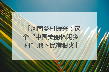 河南乡村振兴：这个“中国美丽休闲乡村”地下民宿很火