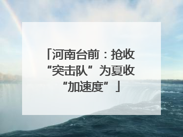 河南台前：抢收“突击队”为夏收“加速度”
