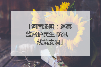 河南汤阴：巡察监督护民生 防汛一线筑安澜