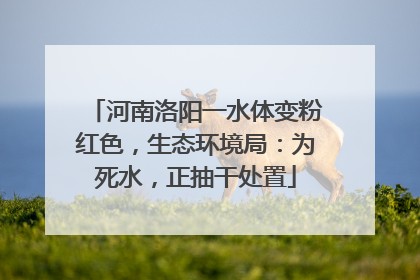 河南洛阳一水体变粉红色，生态环境局：为死水，正抽干处置