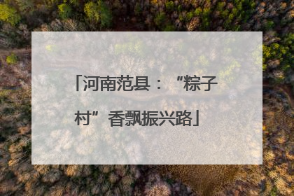 河南范县：“粽子村”香飘振兴路