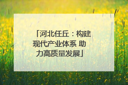 河北任丘：构建现代产业体系 助力高质量发展