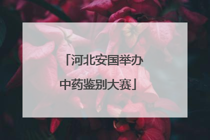 河北安国举办中药鉴别大赛