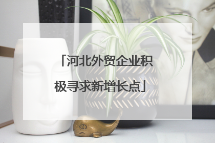 河北外贸企业积极寻求新增长点