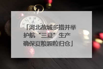 河北故城多措并举护航“三夏”生产 确保夏粮颗粒归仓