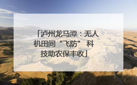 泸州龙马潭：无人机田间“飞防” 科技助农保丰收