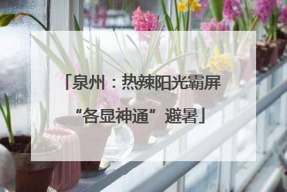 泉州：热辣阳光霸屏 “各显神通”避暑