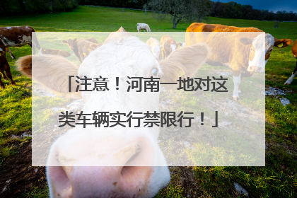 注意！河南一地对这类车辆实行禁限行！