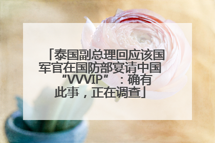 泰国副总理回应该国军官在国防部宴请中国“VVVIP”：确有此事，正在调查