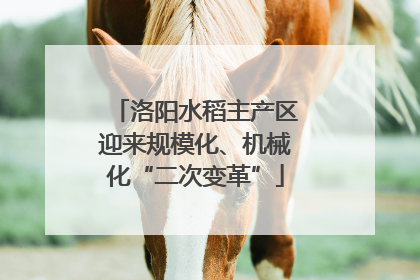 洛阳水稻主产区迎来规模化、机械化“二次变革”