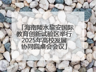 海南陵水黎安国际教育创新试验区举行2025年高校发展协同圆桌会会议