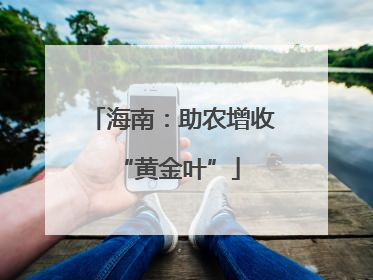 海南：助农增收 “黄金叶”