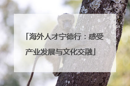 海外人才宁德行：感受产业发展与文化交融
