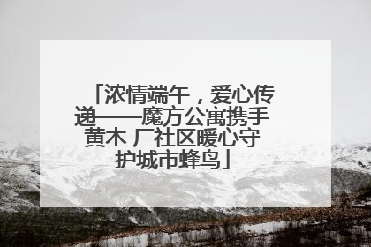 浓情端午，爱心传递——魔方公寓携手黄木 厂社区暖心守护城市蜂鸟