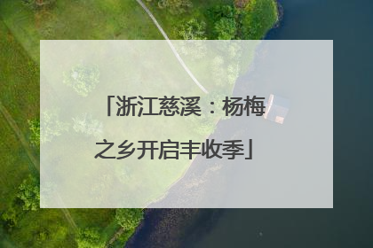 浙江慈溪：杨梅之乡开启丰收季