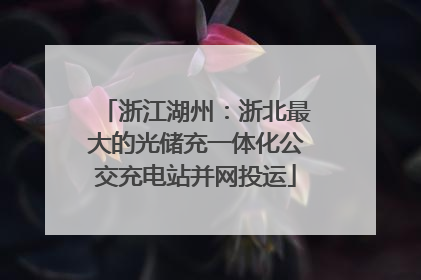 浙江湖州：浙北最大的光储充一体化公交充电站并网投运