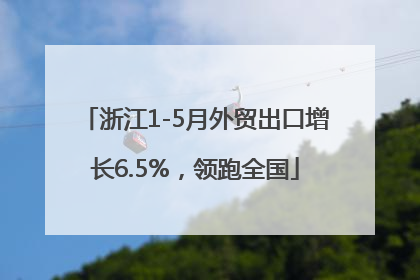 浙江1-5月外贸出口增长6.5%，领跑全国