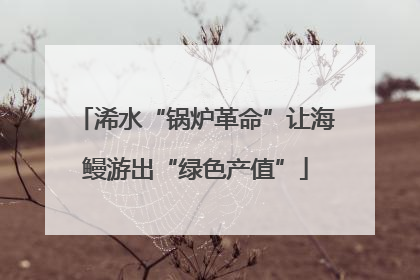 浠水“锅炉革命”让海鳗游出“绿色产值”