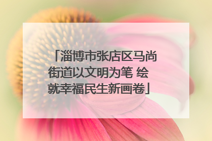 淄博市张店区马尚街道以文明为笔 绘就幸福民生新画卷