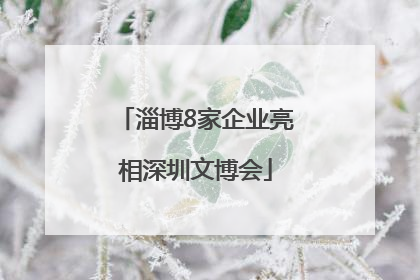 淄博8家企业亮相深圳文博会