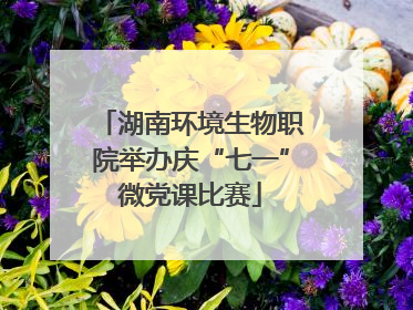 湖南环境生物职院举办庆“七一”微党课比赛