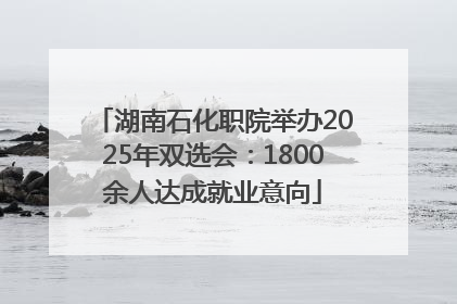 湖南石化职院举办2025年双选会：1800余人达成就业意向