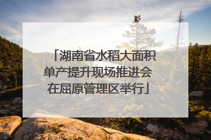 湖南省水稻大面积单产提升现场推进会在屈原管理区举行