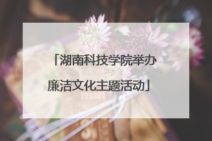 湖南科技学院举办廉洁文化主题活动