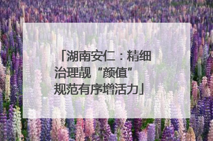 湖南安仁：精细治理靓“颜值” 规范有序增活力
