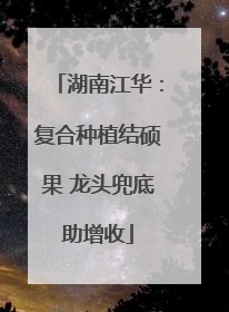 湖南江华：复合种植结硕果 龙头兜底助增收