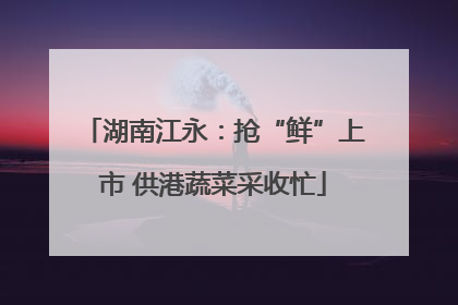 湖南江永：抢“鲜”上市 供港蔬菜采收忙