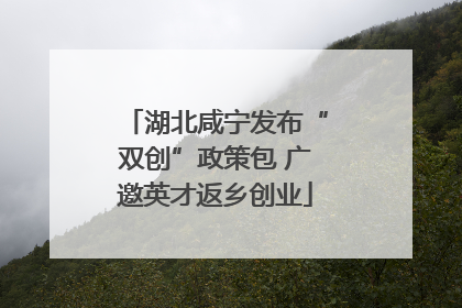 湖北咸宁发布“双创”政策包 广邀英才返乡创业