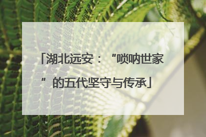 湖北远安：“唢呐世家”的五代坚守与传承