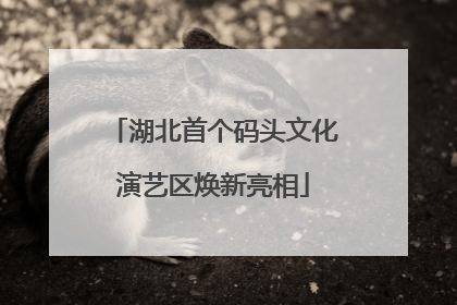 湖北首个码头文化演艺区焕新亮相
