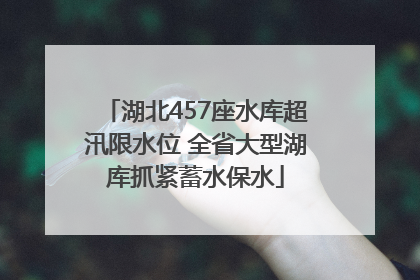 湖北457座水库超汛限水位 全省大型湖库抓紧蓄水保水