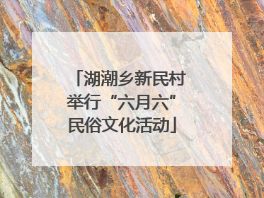 湖潮乡新民村举行“六月六”民俗文化活动